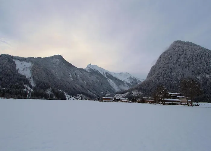 Sulzau Near Wildkogel Slopes Apartment Neukirchen am Großvenediger